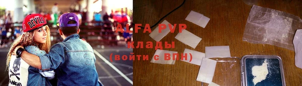 прущие крисы Карпинск
