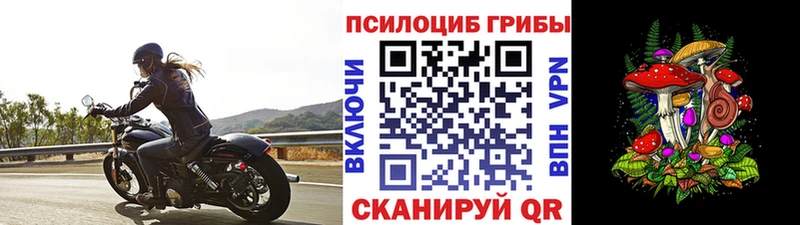 Галлюциногенные грибы Psilocybine cubensis  Купить где  Красноуральск 